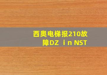 西奥电梯报210故障DZ ⅰn NST